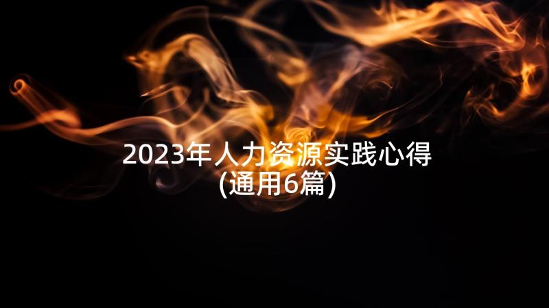 2023年人力资源实践心得(通用6篇)