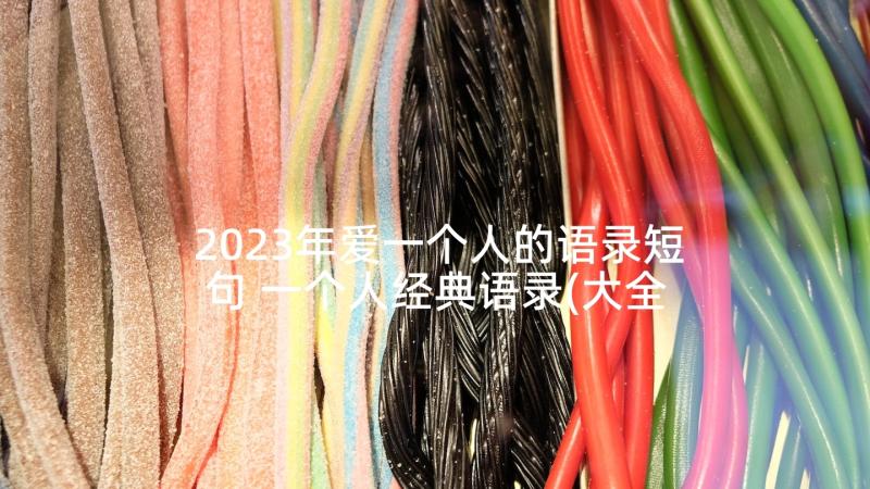 2023年爱一个人的语录短句 一个人经典语录(大全5篇)