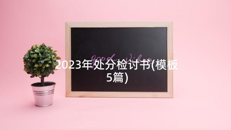 2023年处分检讨书(模板5篇)