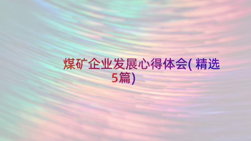 煤矿企业发展心得体会(精选5篇)