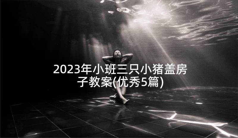 2023年小班三只小猪盖房子教案(优秀5篇)