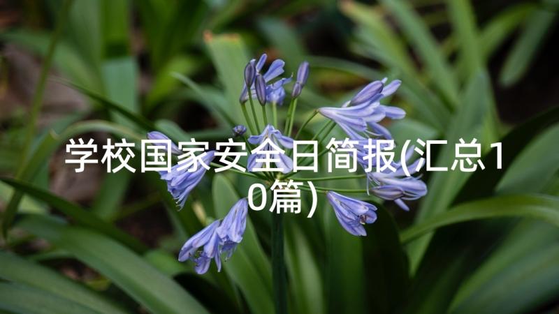 学校国家安全日简报(汇总10篇)