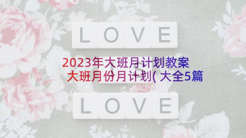 2023年大班月计划教案 大班月份月计划(大全5篇)