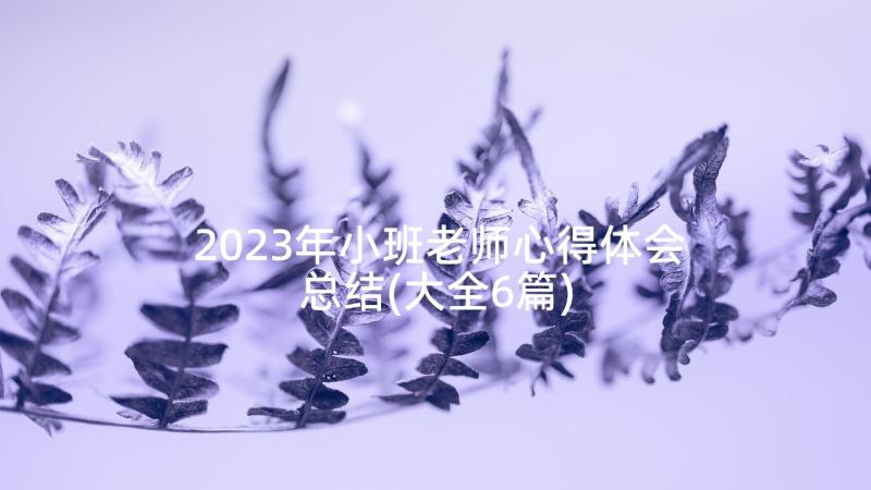 2023年小班老师心得体会总结(大全6篇)