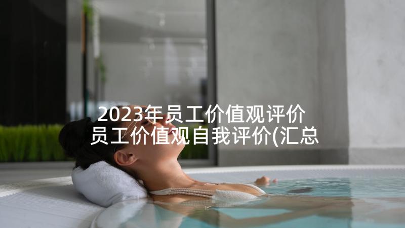 2023年员工价值观评价 员工价值观自我评价(汇总5篇)