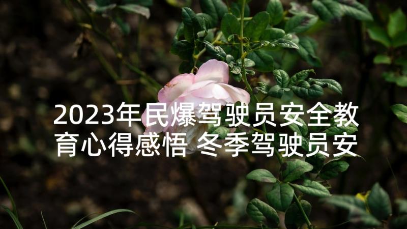 2023年民爆驾驶员安全教育心得感悟 冬季驾驶员安全教育心得(汇总5篇)