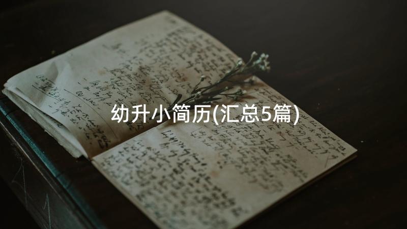 幼升小简历(汇总5篇)