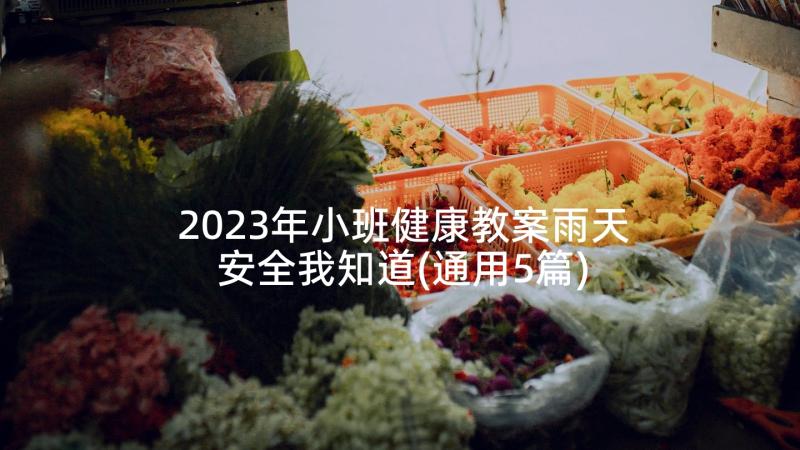 2023年小班健康教案雨天安全我知道(通用5篇)