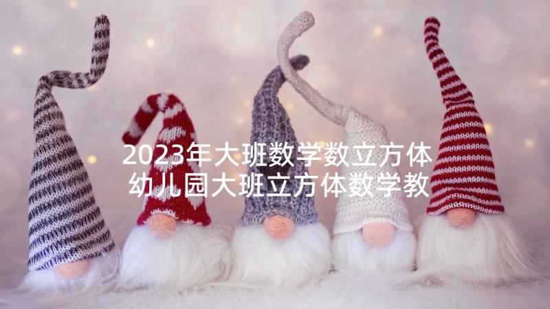 2023年大班数学数立方体 幼儿园大班立方体数学教案(大全5篇)