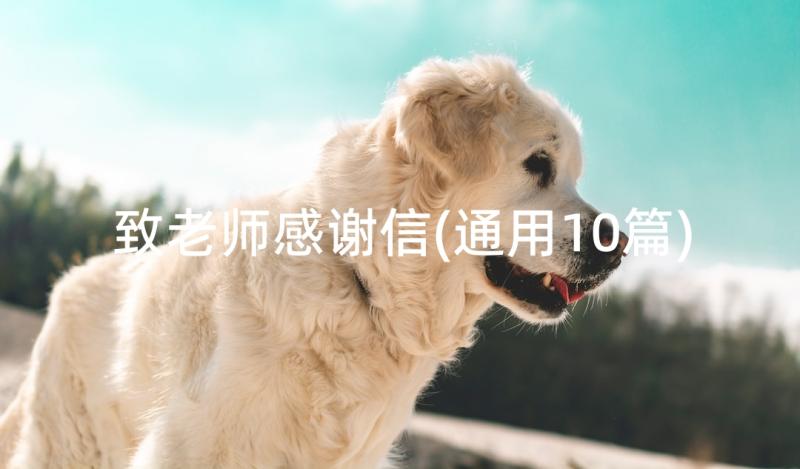 致老师感谢信(通用10篇)