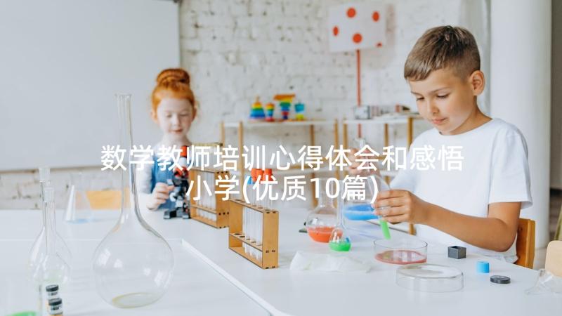 数学教师培训心得体会和感悟小学(优质10篇)