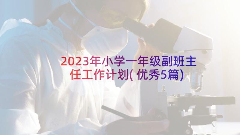 2023年小学一年级副班主任工作计划(优秀5篇)