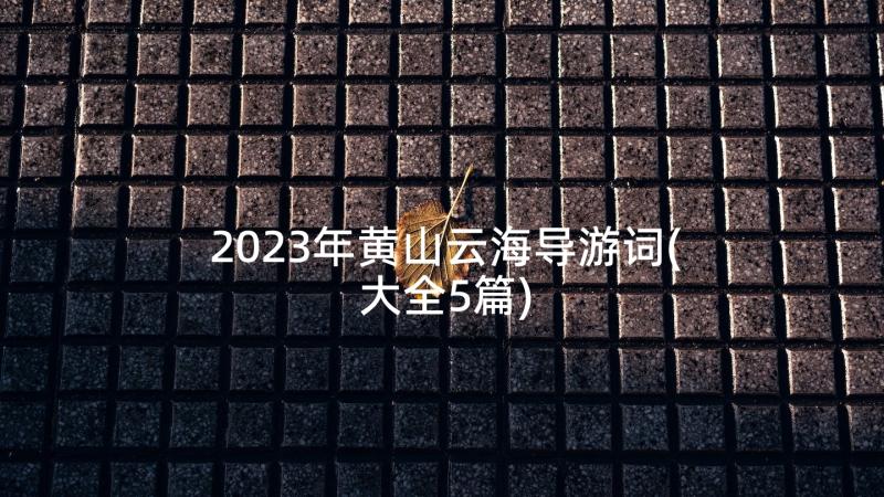 2023年黄山云海导游词(大全5篇)