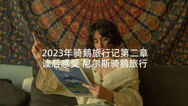 2023年骑鹅旅行记第二章读后感受 尼尔斯骑鹅旅行记读书心得(实用5篇)