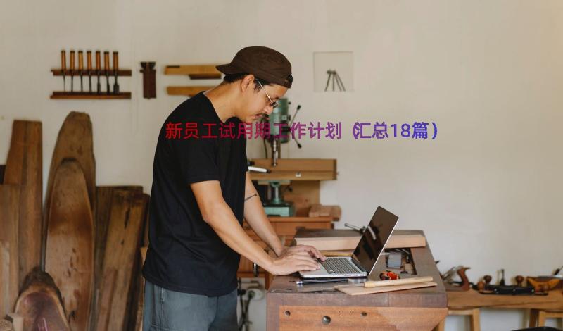 新员工试用期工作计划（汇总18篇）