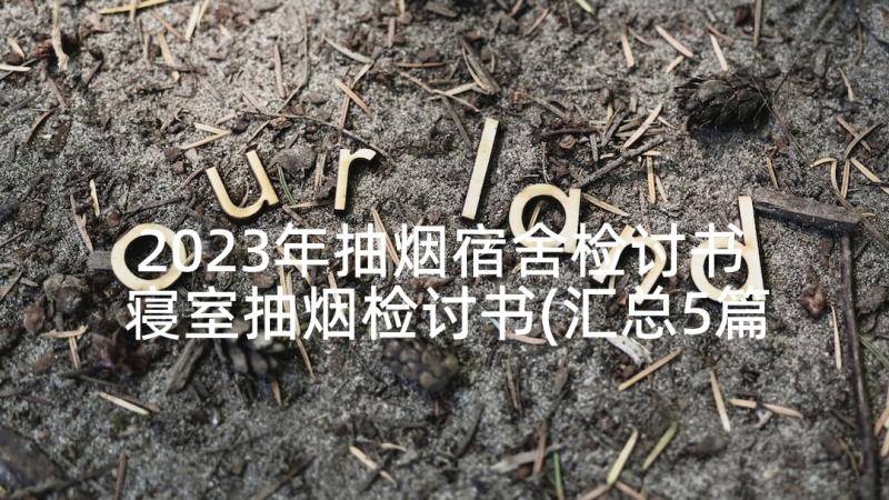 2023年抽烟宿舍检讨书 寝室抽烟检讨书(汇总5篇)