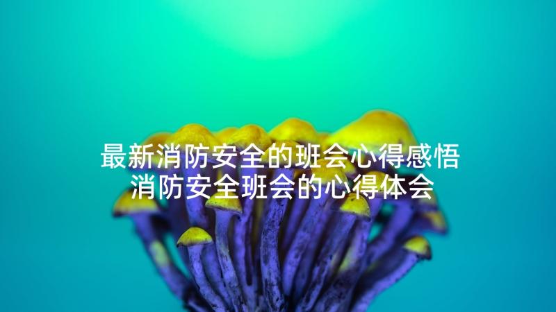 最新消防安全的班会心得感悟 消防安全班会的心得体会(汇总5篇)