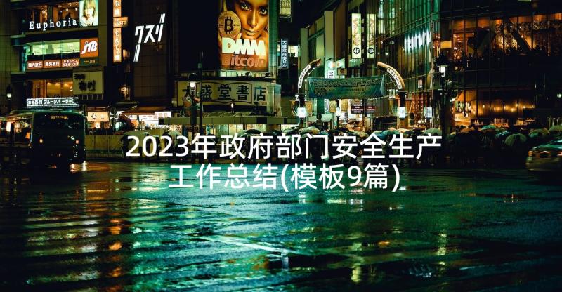 2023年政府部门安全生产工作总结(模板9篇)