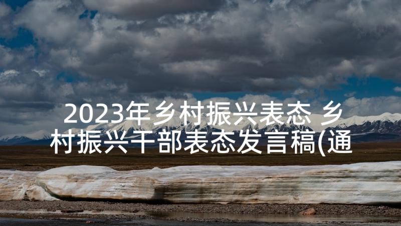 2023年乡村振兴表态 乡村振兴干部表态发言稿(通用5篇)