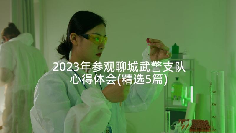 2023年参观聊城武警支队心得体会(精选5篇)