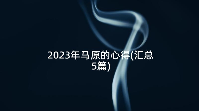 2023年马原的心得(汇总5篇)