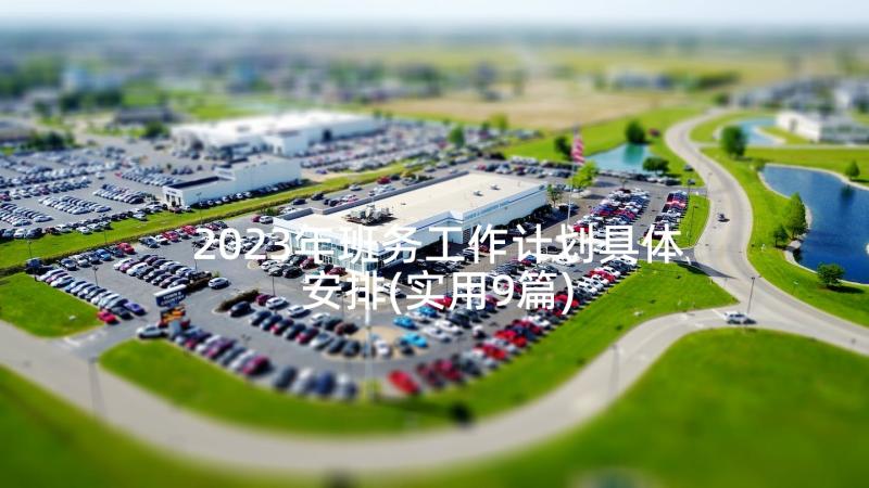 2023年班务工作计划具体安排(实用9篇)