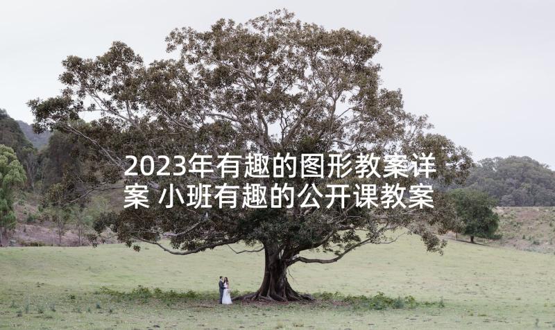 2023年有趣的图形教案详案 小班有趣的公开课教案(大全10篇)