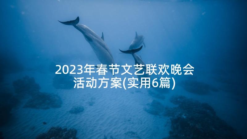 2023年春节文艺联欢晚会活动方案(实用6篇)