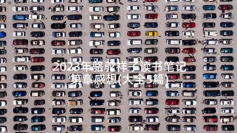 2023年骆驼祥子读书笔记第章感想(大全5篇)