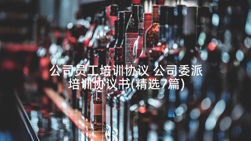 公司员工培训协议 公司委派培训协议书(精选7篇)