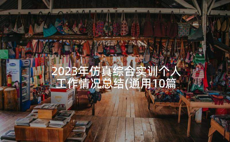 2023年仿真综合实训个人工作情况总结(通用10篇)