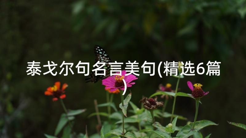 泰戈尔句名言美句(精选6篇)