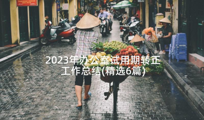 2023年办公室试用期转正工作总结(精选6篇)