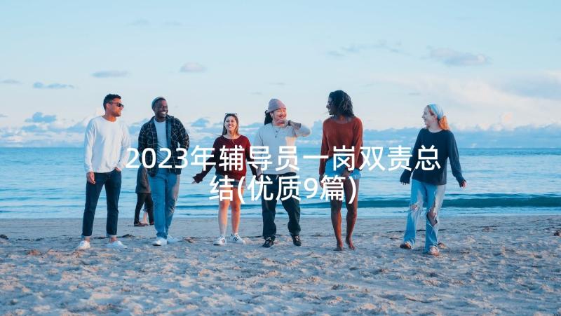 2023年辅导员一岗双责总结(优质9篇)