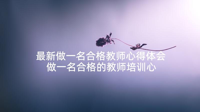 最新做一名合格教师心得体会 做一名合格的教师培训心得体会(优质5篇)