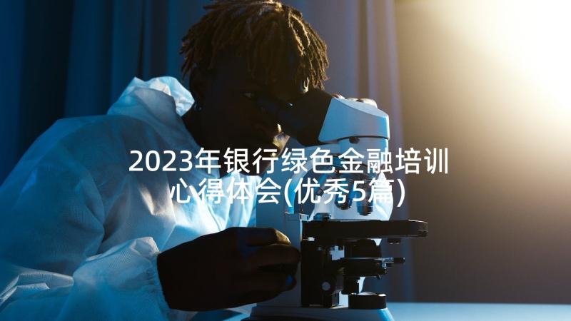 2023年银行绿色金融培训心得体会(优秀5篇)