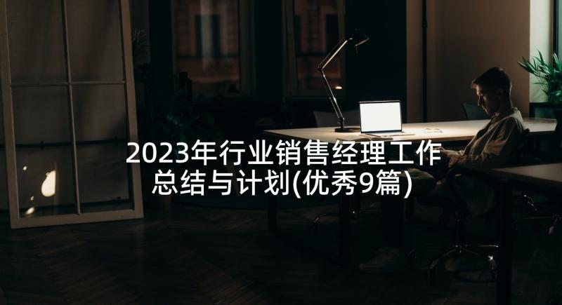 2023年行业销售经理工作总结与计划(优秀9篇)