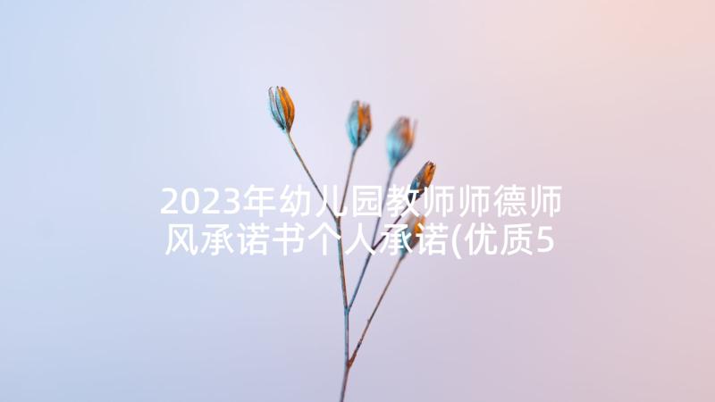 2023年幼儿园教师师德师风承诺书个人承诺(优质5篇)