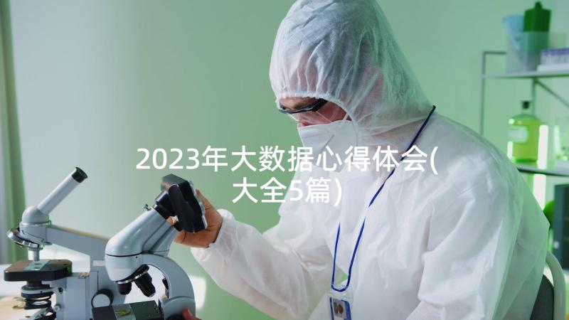 2023年大数据心得体会(大全5篇)