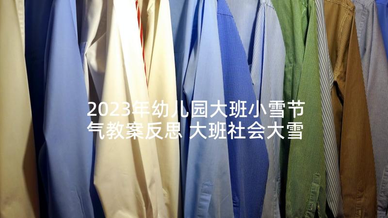 2023年幼儿园大班小雪节气教案反思 大班社会大雪节气教案(模板5篇)