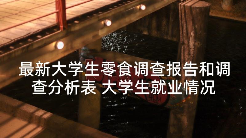 最新大学生零食调查报告和调查分析表 大学生就业情况分析调查报告(大全5篇)