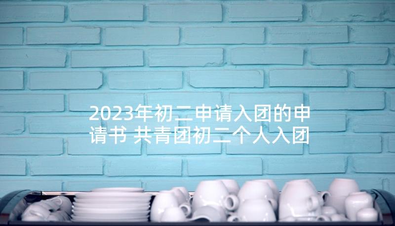 2023年初二申请入团的申请书 共青团初二个人入团申请书(大全5篇)