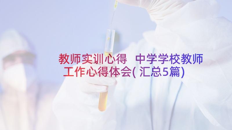 教师实训心得 中学学校教师工作心得体会(汇总5篇)