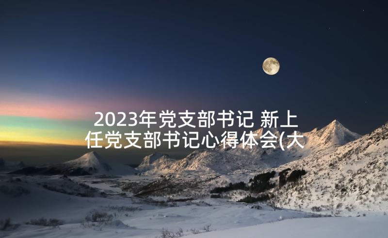 2023年党支部书记 新上任党支部书记心得体会(大全7篇)