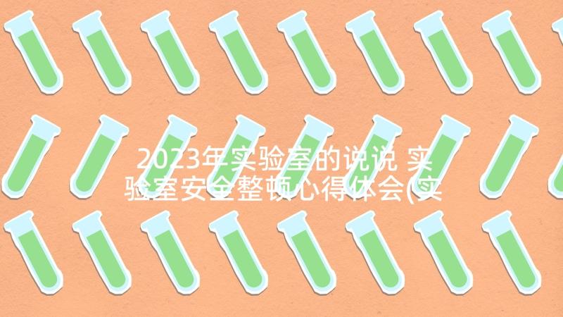 2023年实验室的说说 实验室安全整顿心得体会(实用8篇)