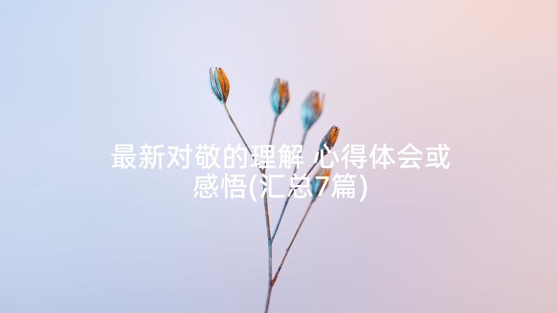 最新对敬的理解 心得体会或感悟(汇总7篇)