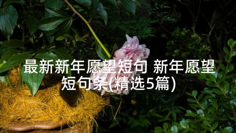 最新新年愿望短句 新年愿望短句条(精选5篇)