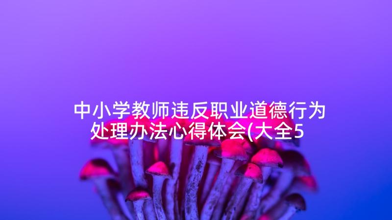 中小学教师违反职业道德行为处理办法心得体会(大全5篇)