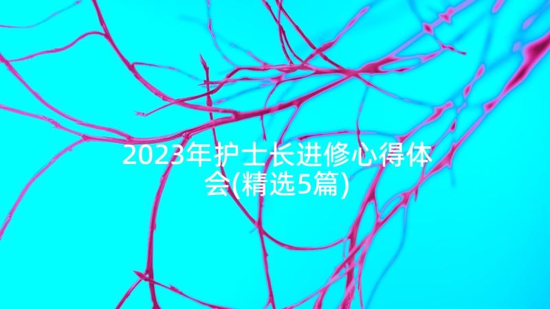 2023年护士长进修心得体会(精选5篇)