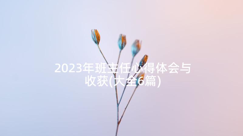 2023年班主任心得体会与收获(大全6篇)